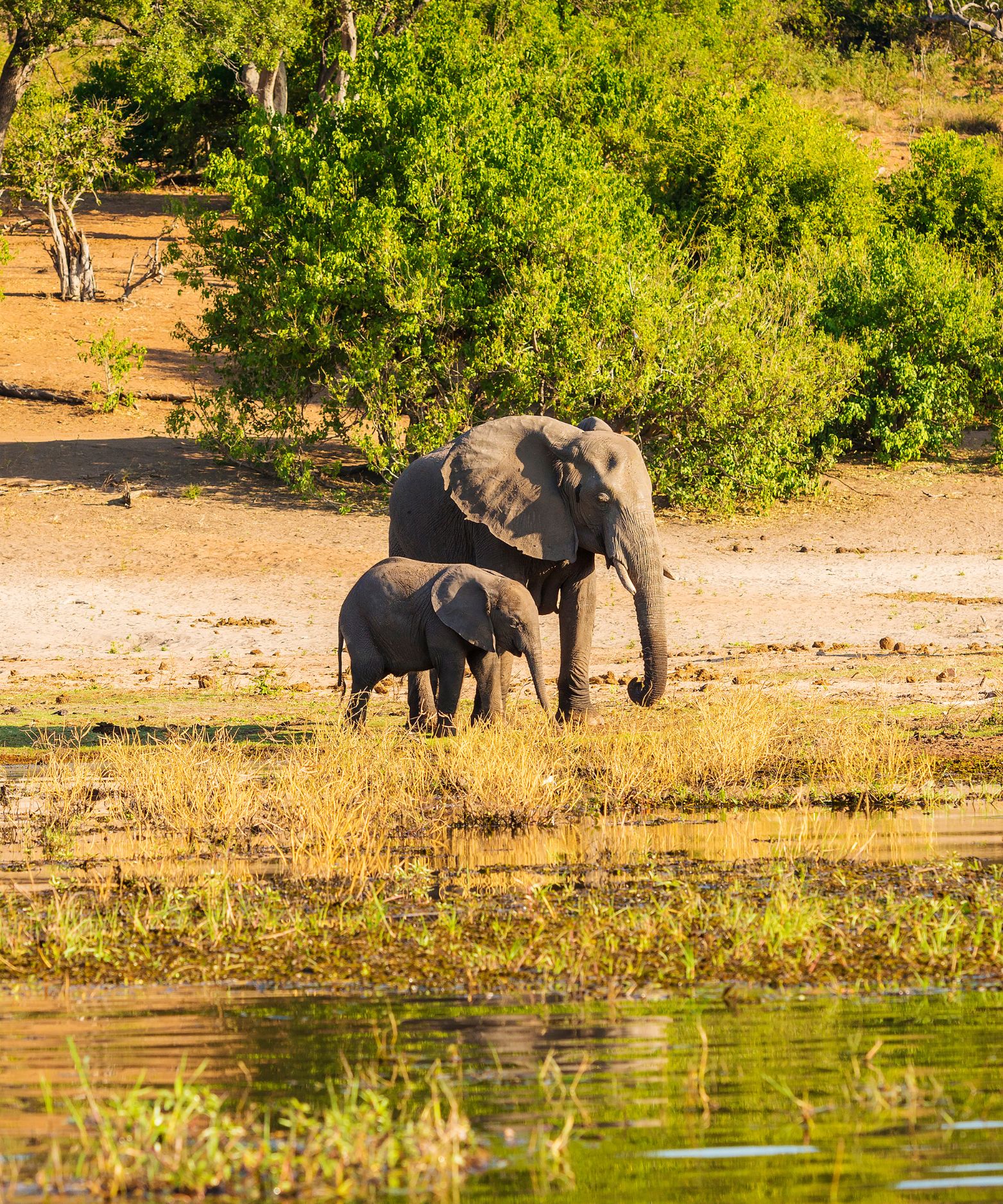 5 Day South African Safari and Cultural Expedition