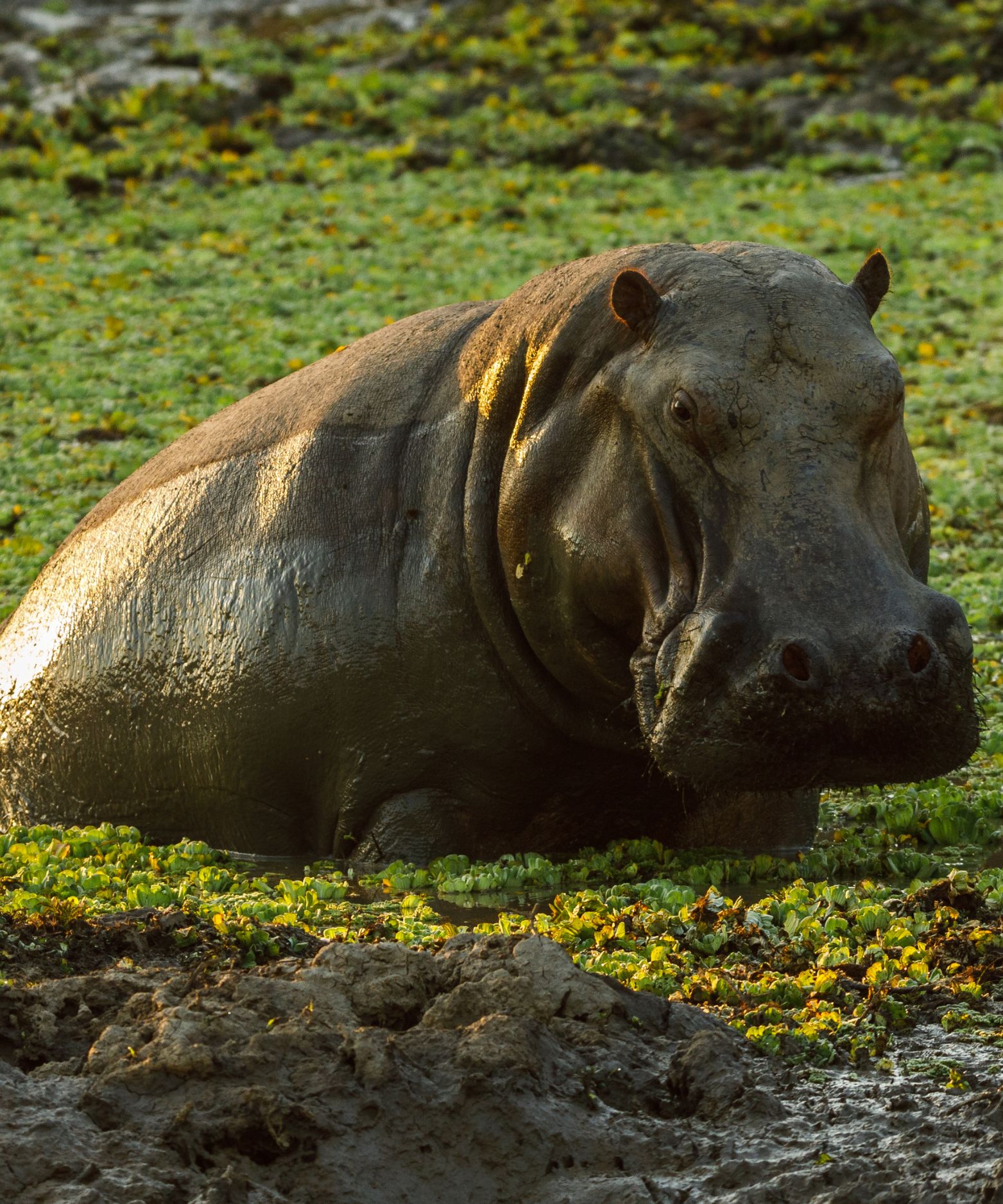 10 Day Iconic National Parks Safari